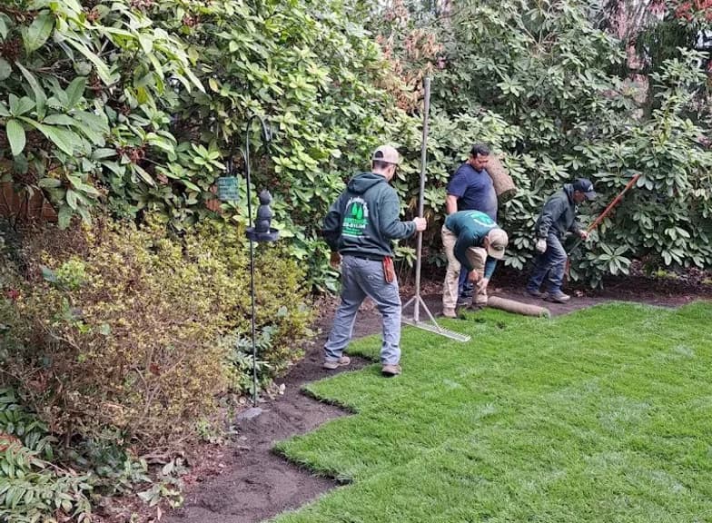 Hardscaping Services in Arlington, WA