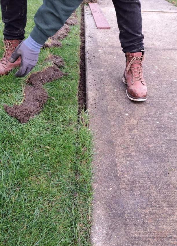 Lawn Seeding Cost in Edmonds, WA