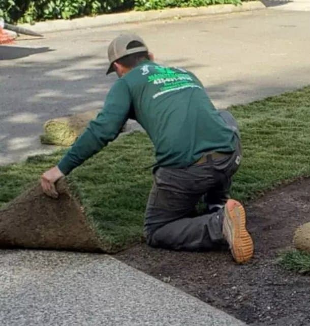 Lawn Fertilization Service in Stanwood, WA