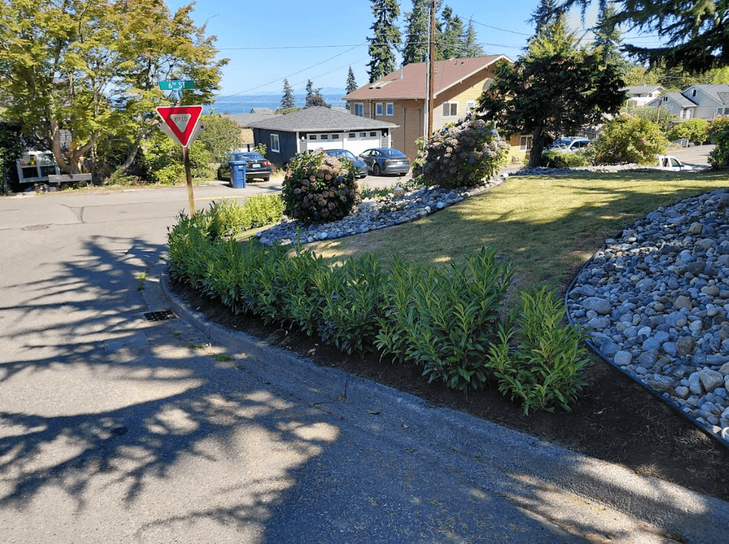 Yard Cleanups