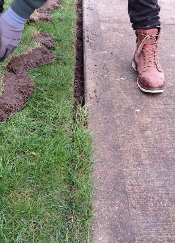 Lawn Mowing Services in Edmonds, WA