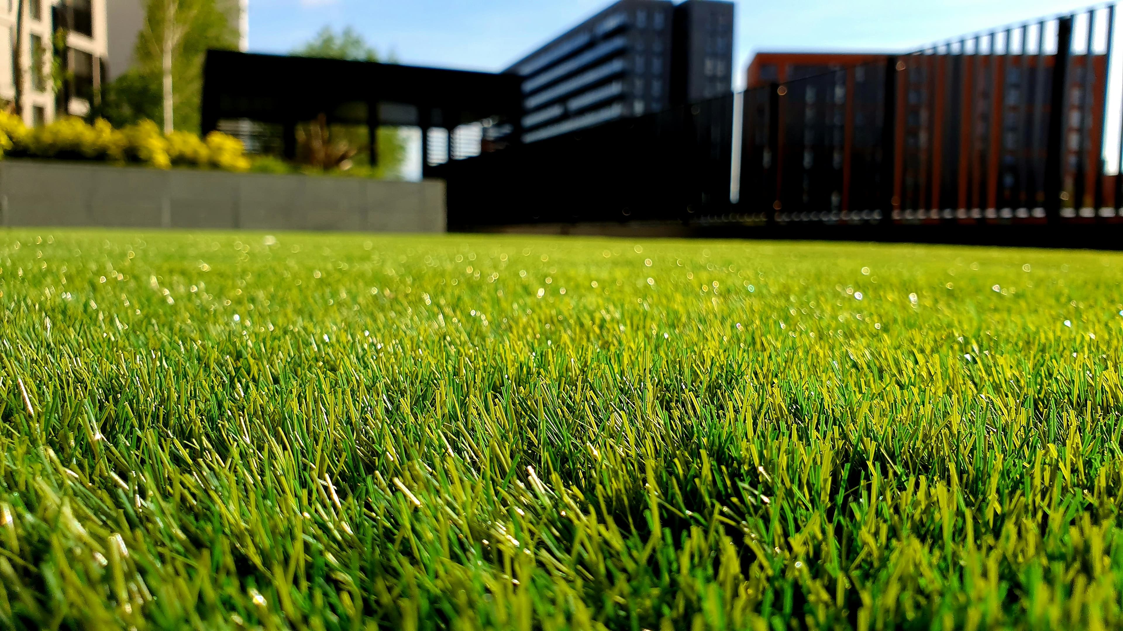Artificial Turf Installation Services