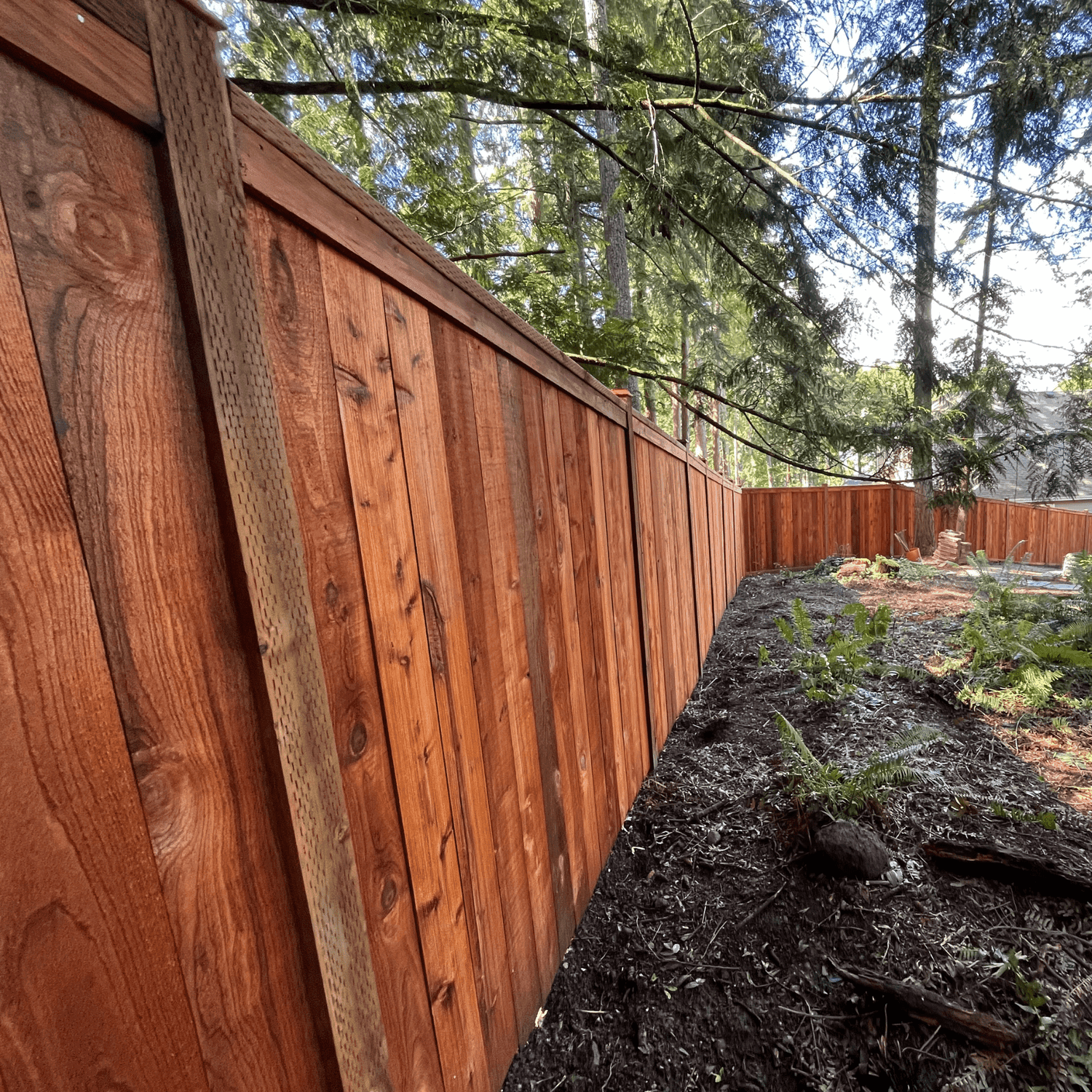 Fencing Installation & Replacement Services