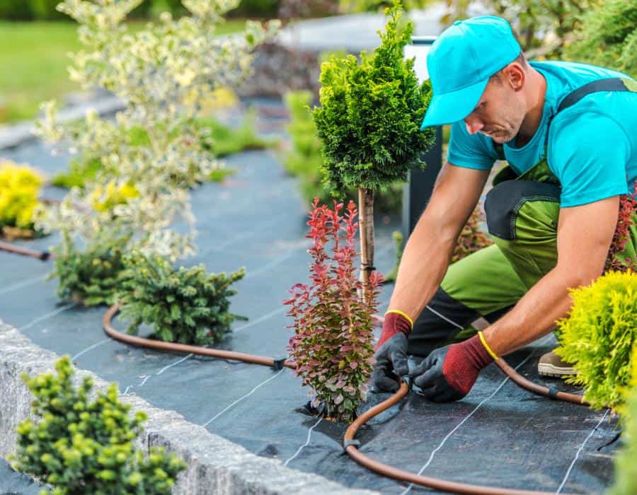 Irrigation System Installation & Repair Services