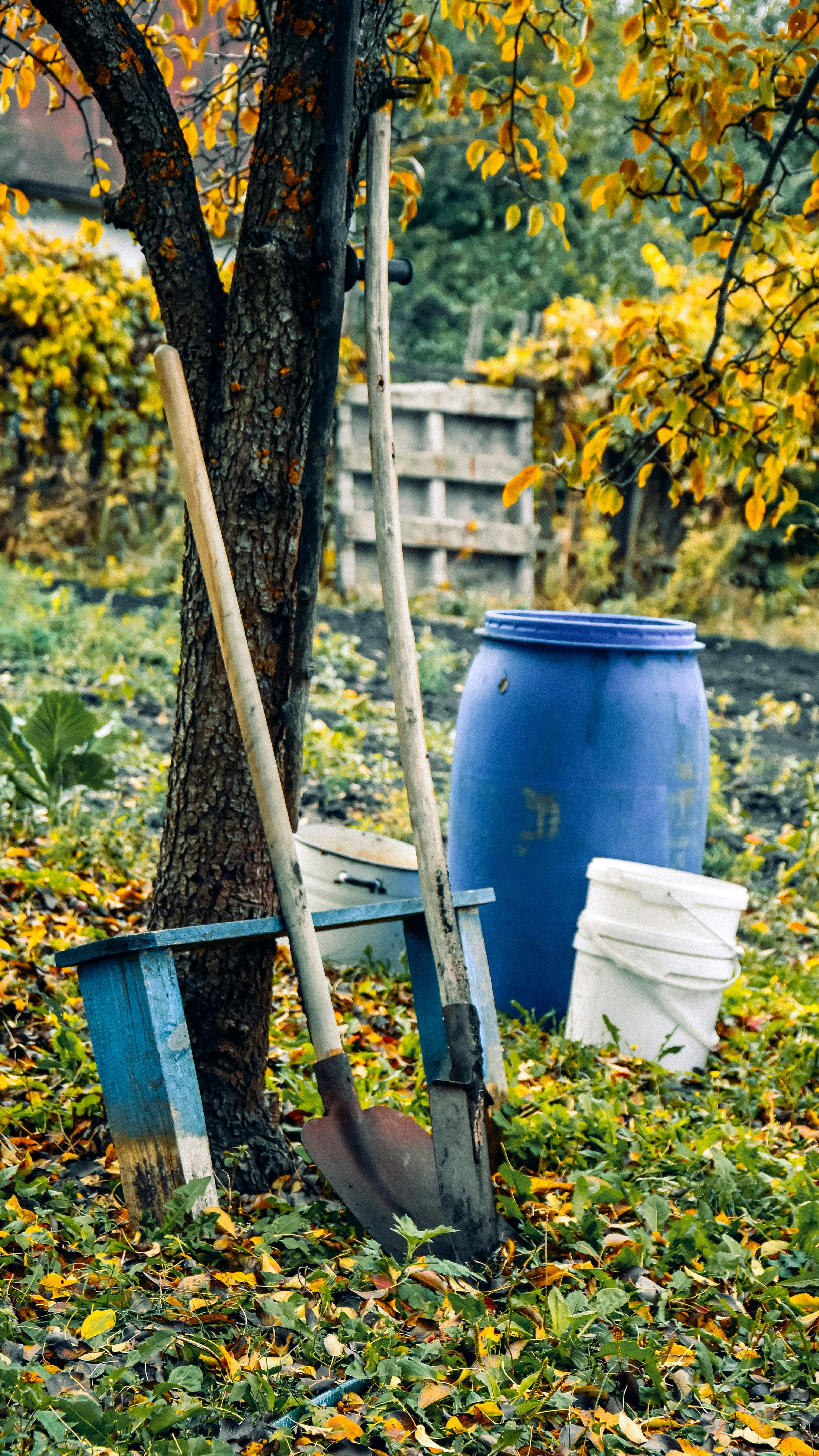 Yard Cleanup in Index, WA