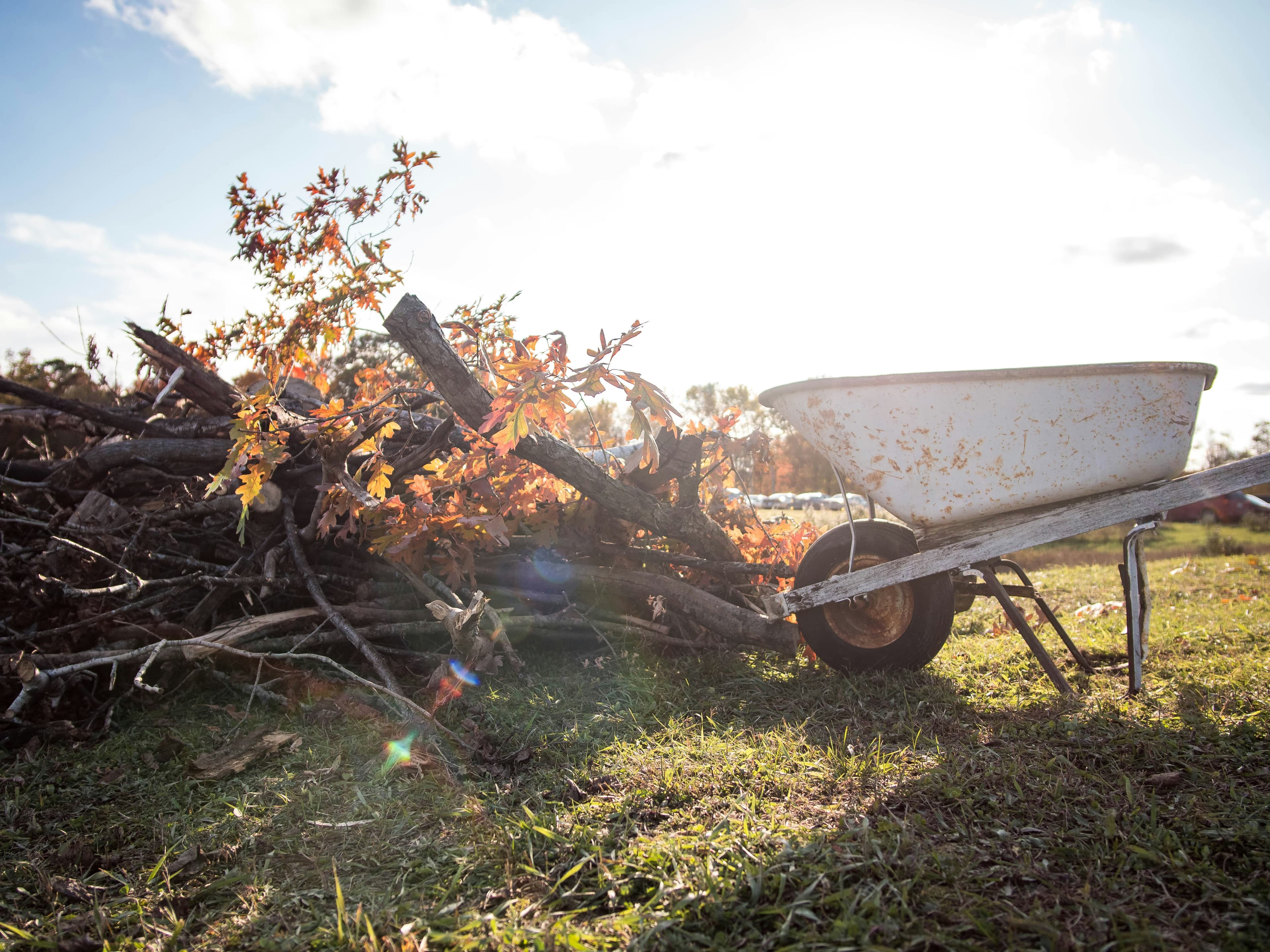 Yard Clean Up Cost in Edmonds, WA
