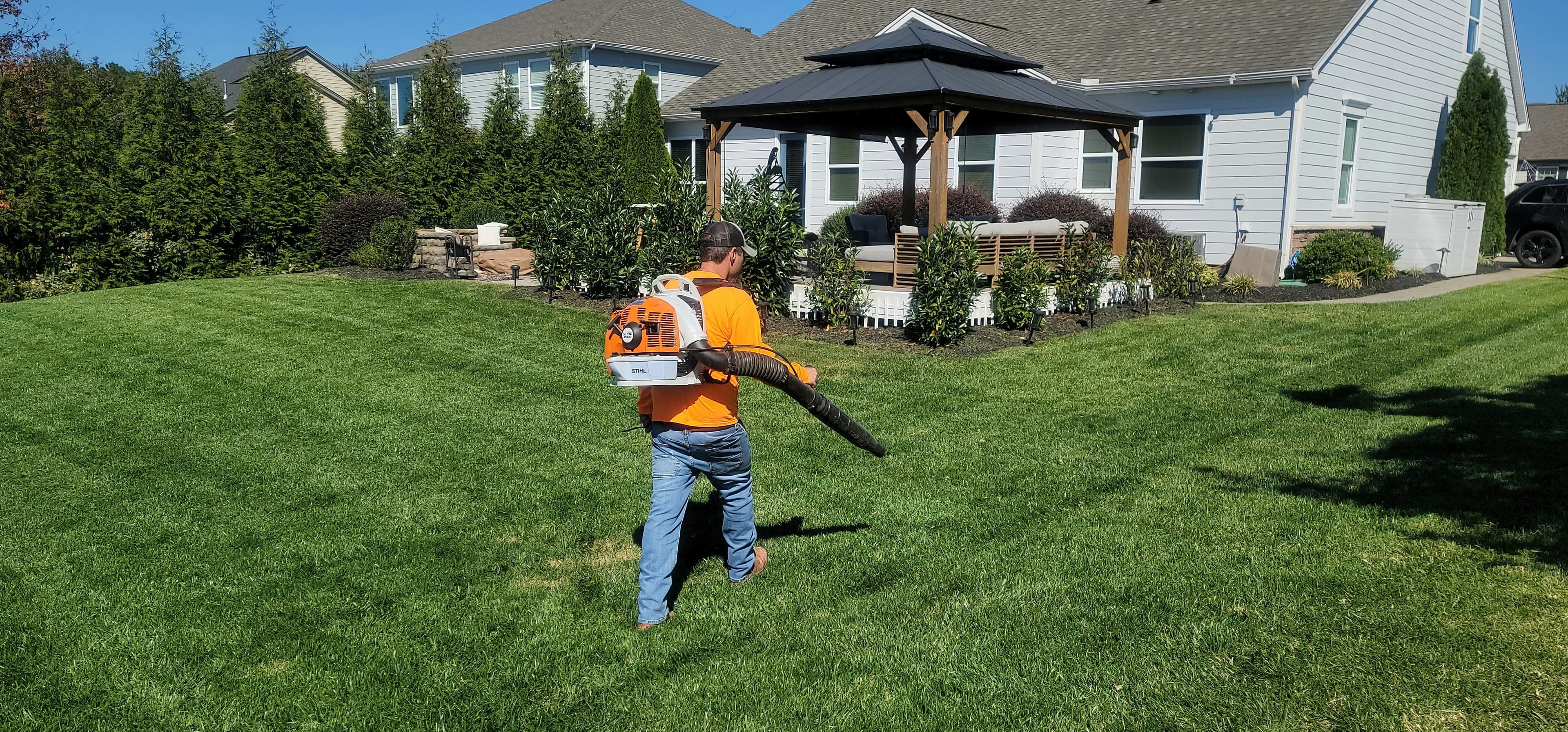 Best Yard Cleanup Company in Brier, WA