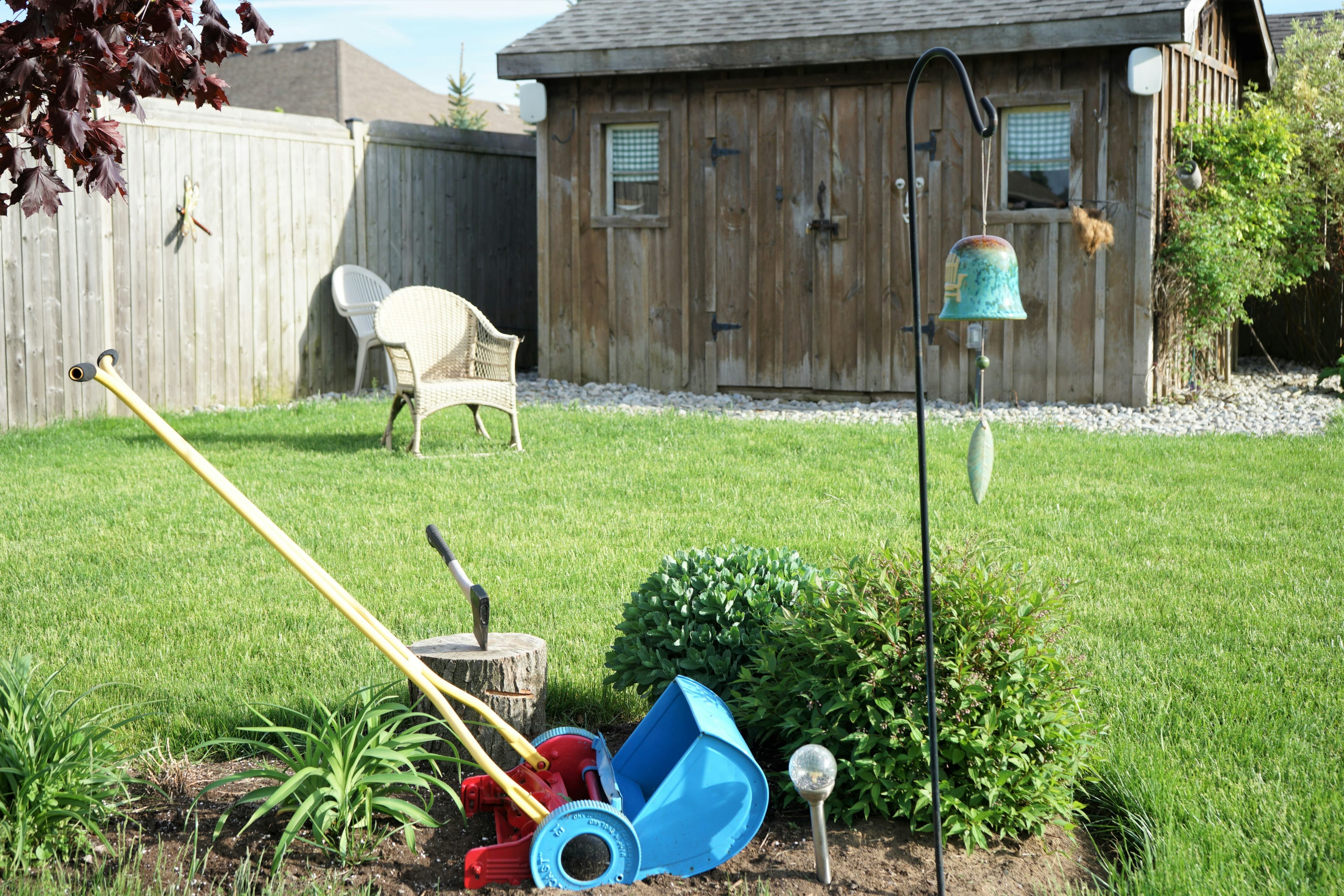 Professional Yard Clean Up Companies Services in Edmonds, WA
