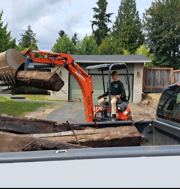 landscaping project showcase