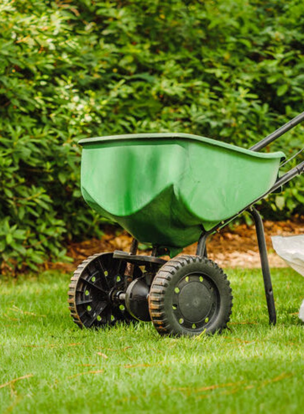 Professional lawn aeration service in Mukilteo