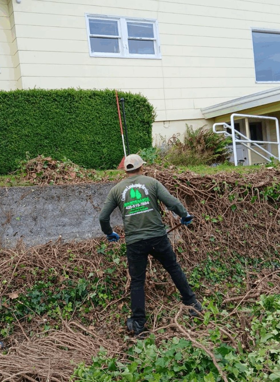 Professional yard clean up service in Mukilteo