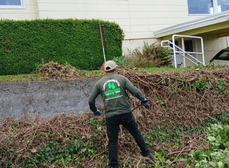 seasonal cleanup