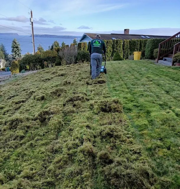 lawn installation project