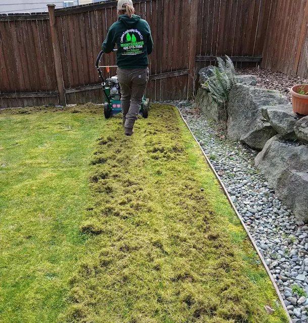 lawn and grass installation