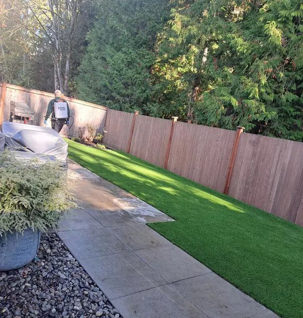 professional landscaping design