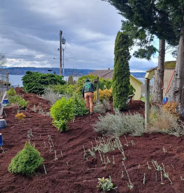 landscape design project