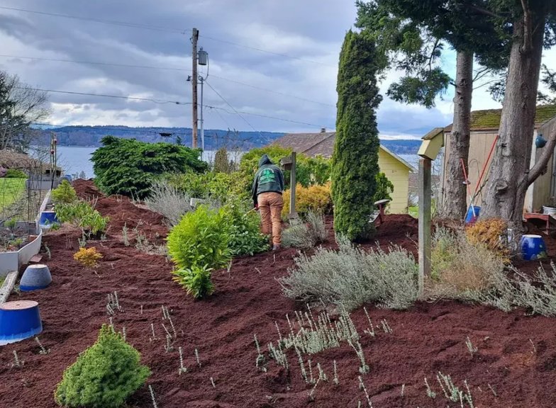 mulch installation