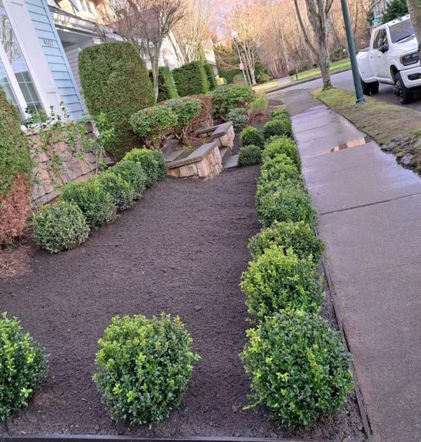 garden landscaping installation