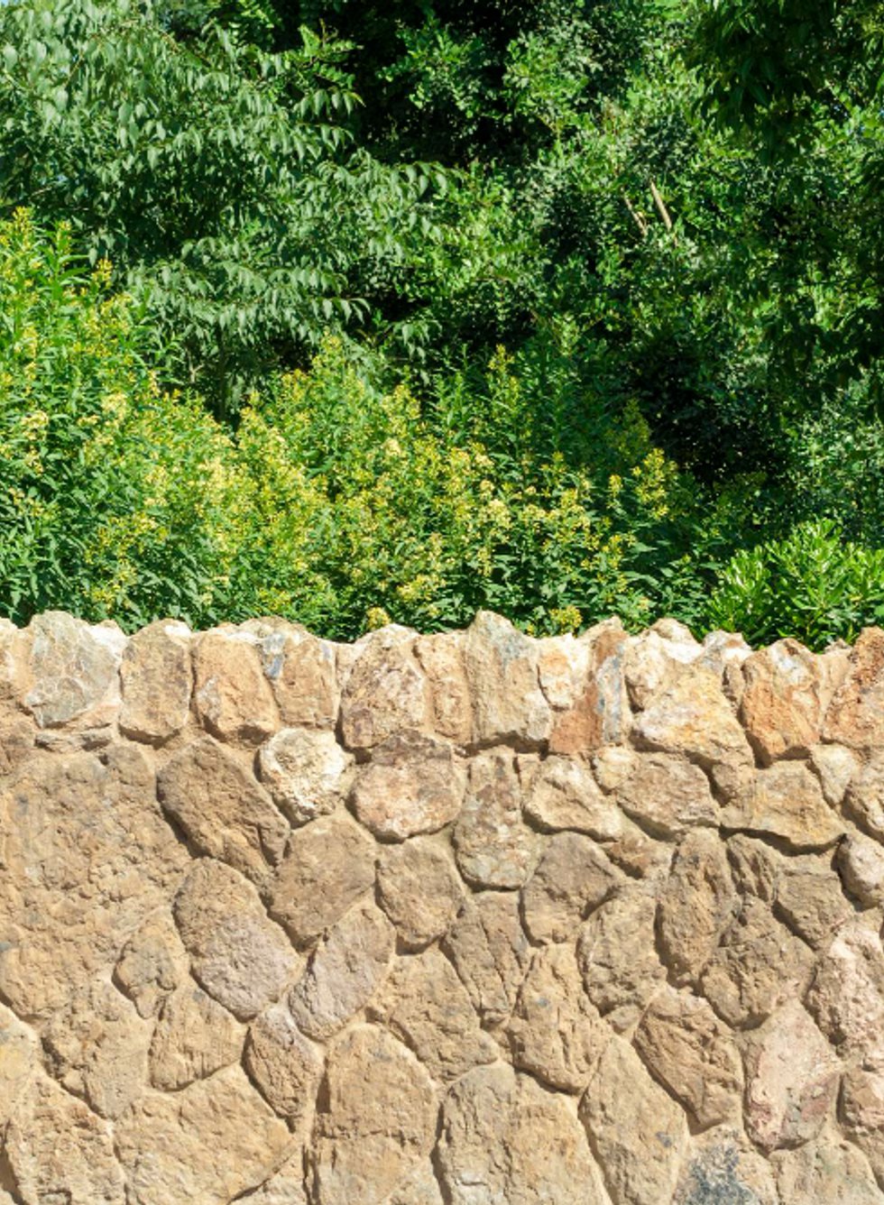 Professional rock wall installation service in Mukilteo
