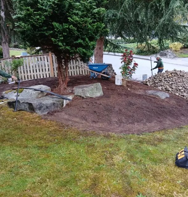 decorative rock garden