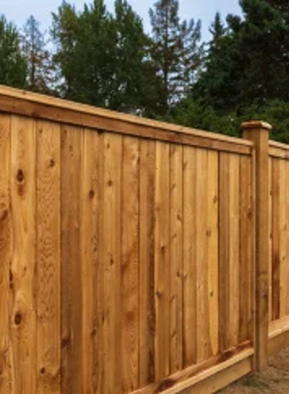 Professional fencing installation service in Mukilteo