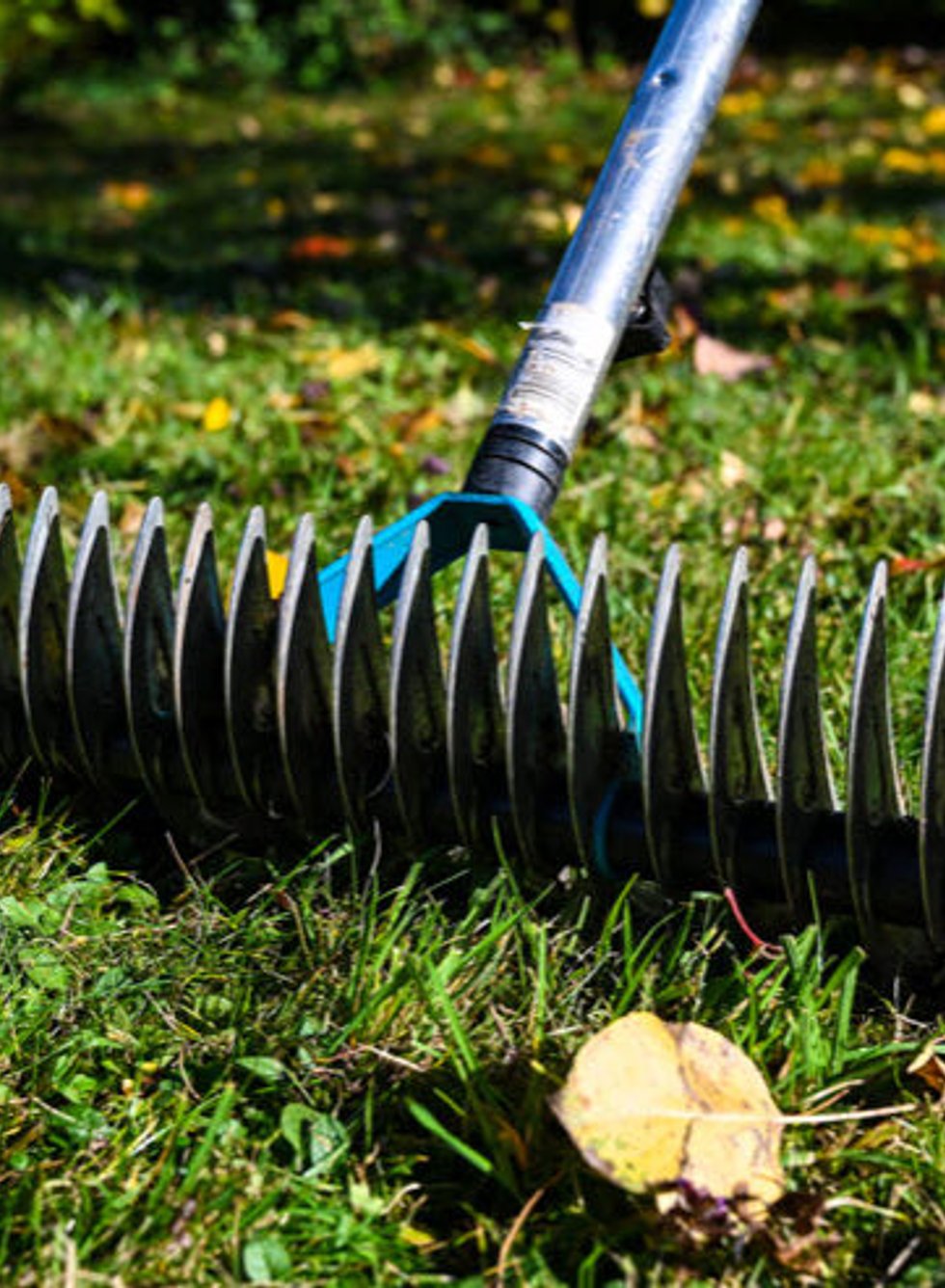 Professional thatching service in Mukilteo